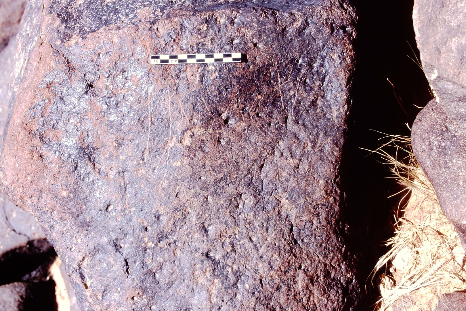 inscription of siglum Is.N 206