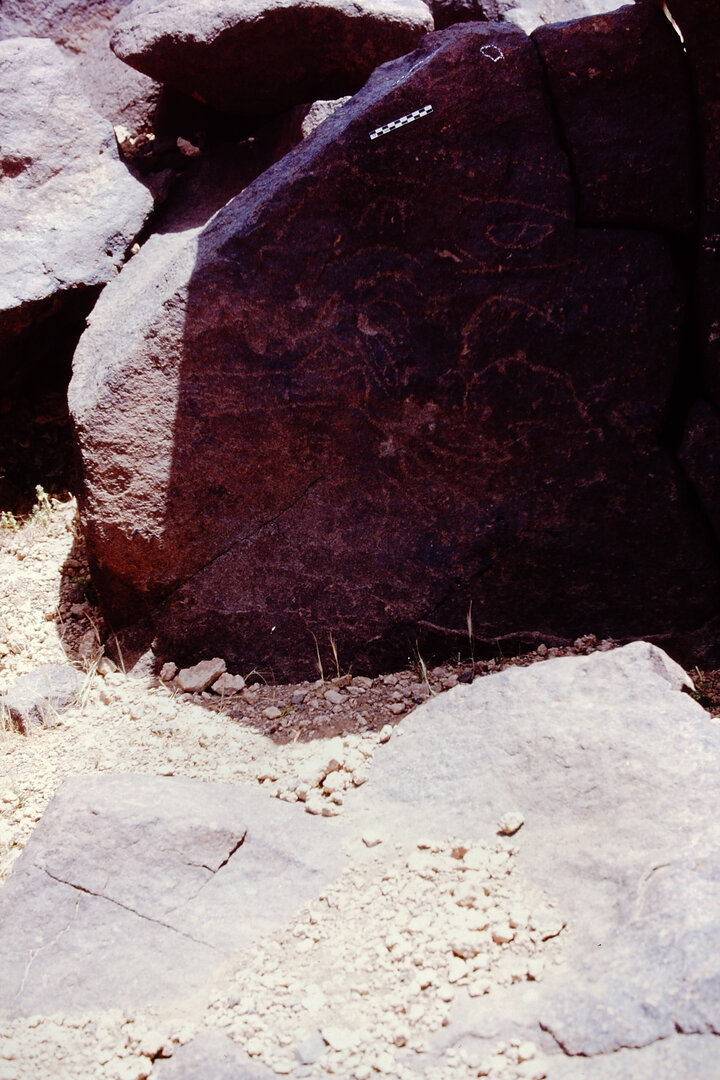 inscription of siglum Is.N 209