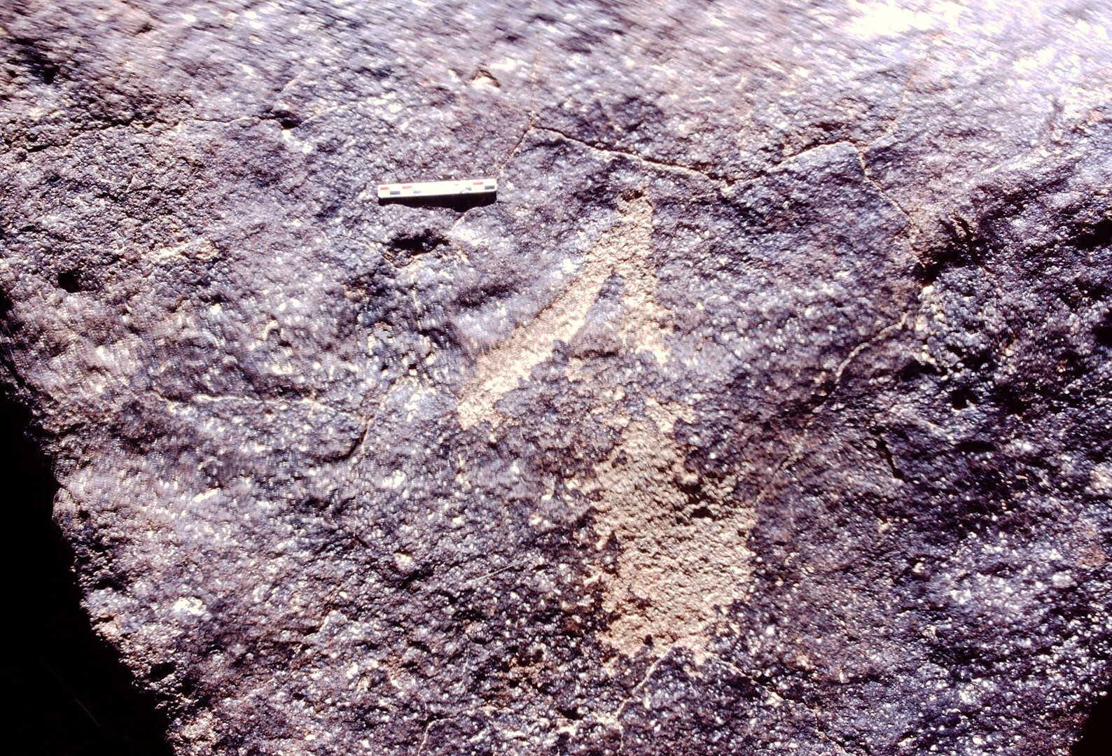 inscription of siglum Is.N 212