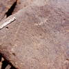 inscription of siglum Is.N 26