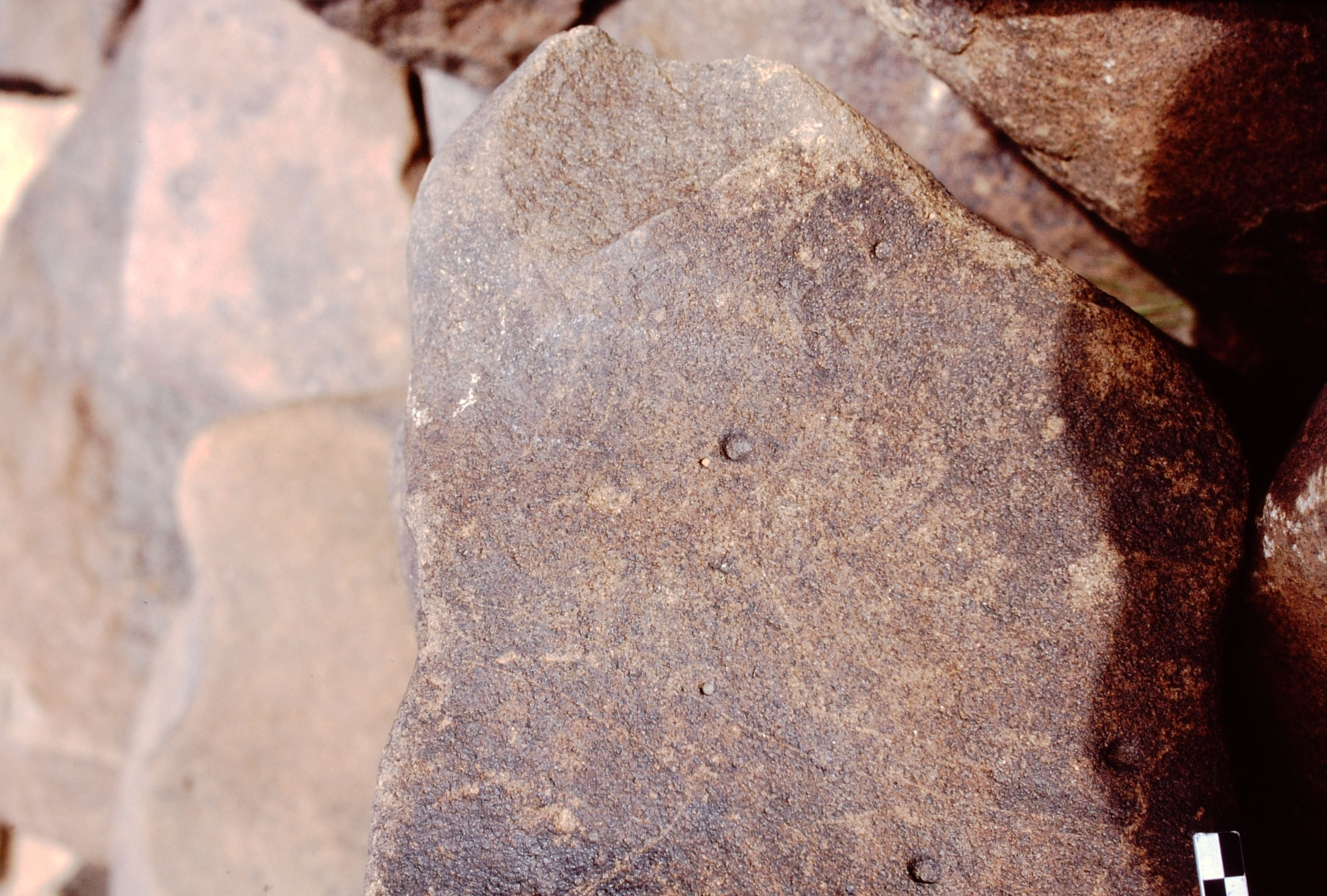 inscription of siglum Is.N 29