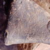 inscription of siglum Is.N 39