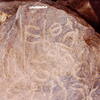 inscription of siglum Is.N 4