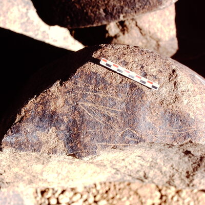 inscription of siglum Is.N 40