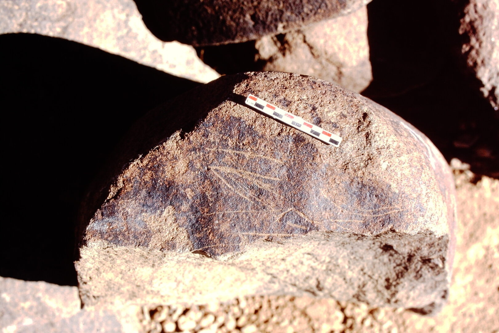 inscription of siglum Is.N 40
