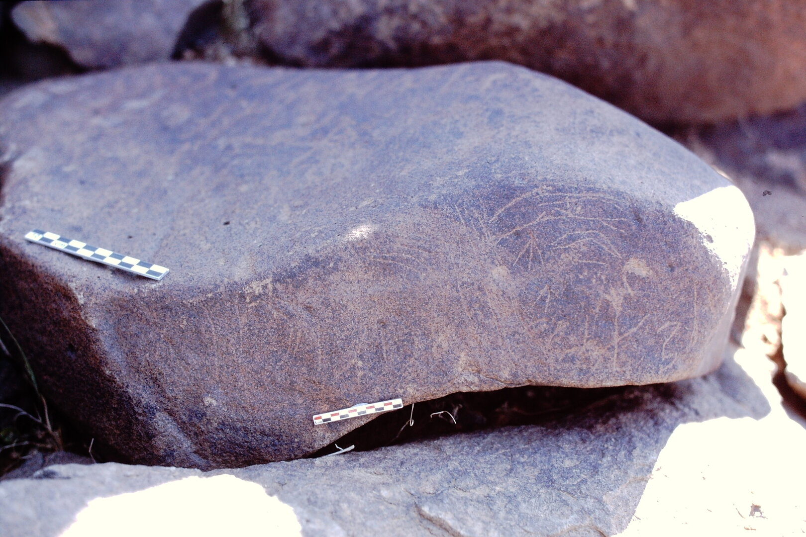 inscription of siglum Is.N 44