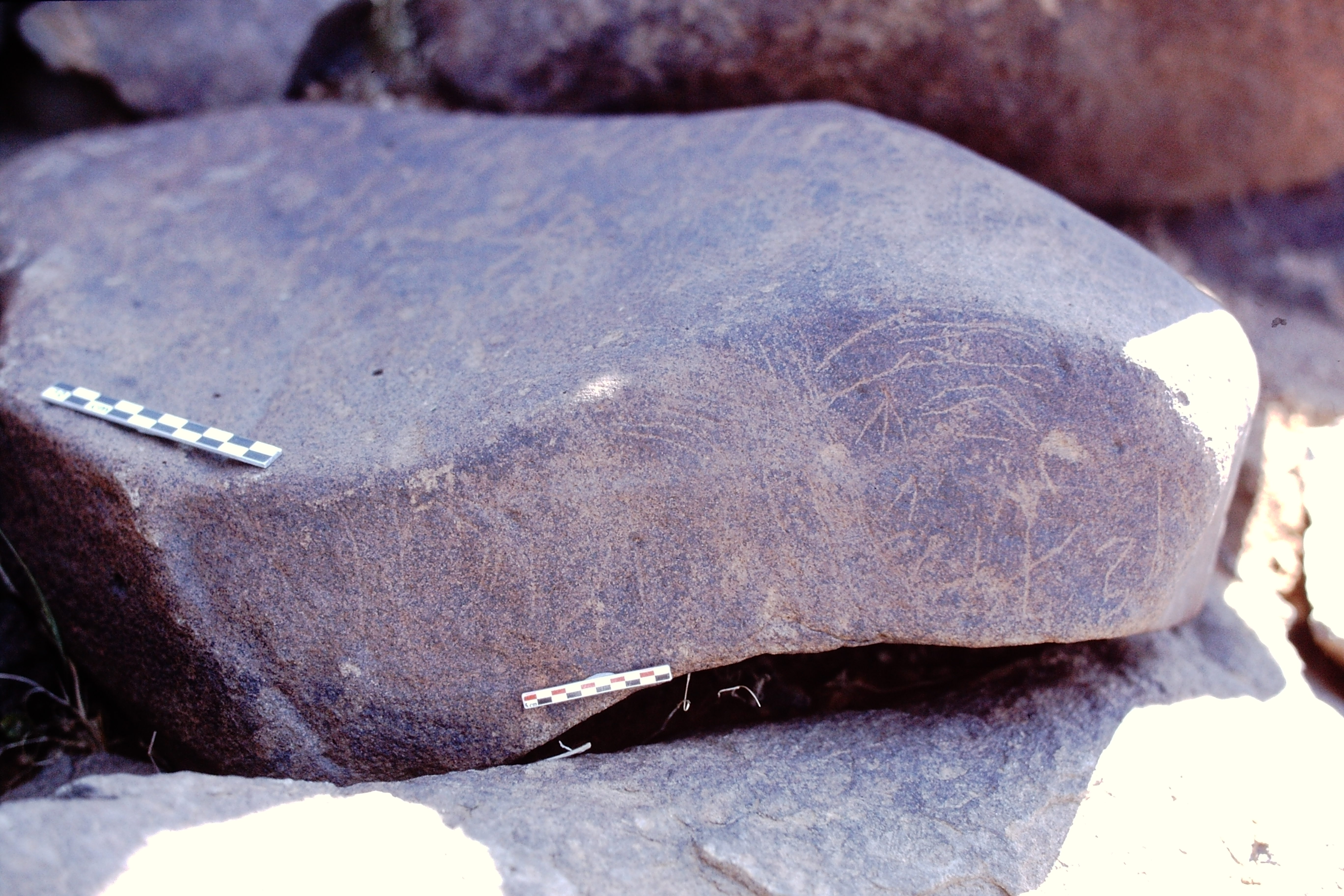 inscription of siglum Is.N 44