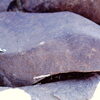 inscription of siglum Is.N 44