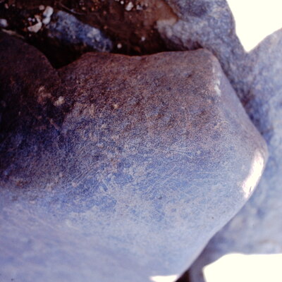 inscription of siglum Is.N 46