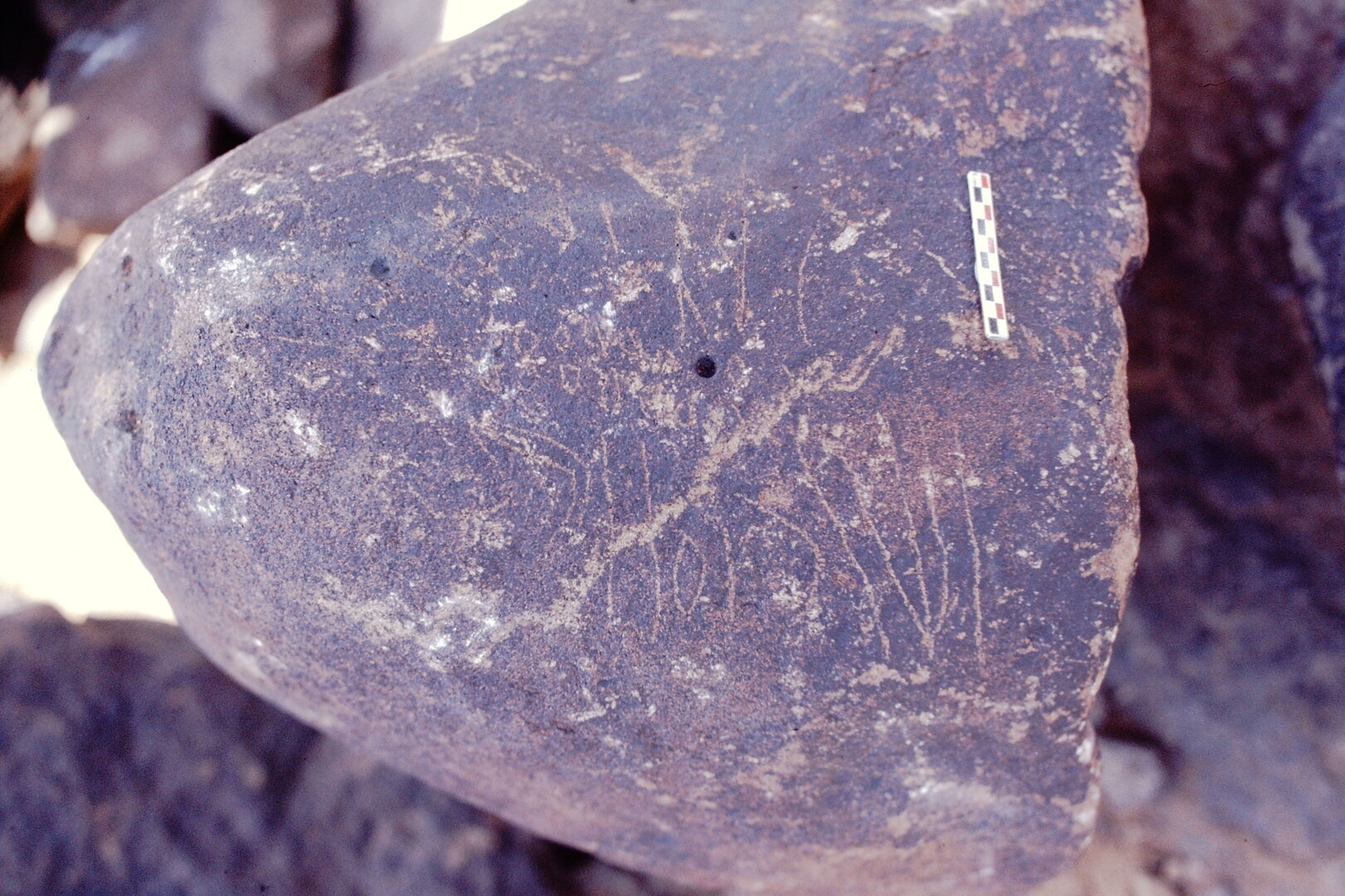 inscription of siglum Is.N 79