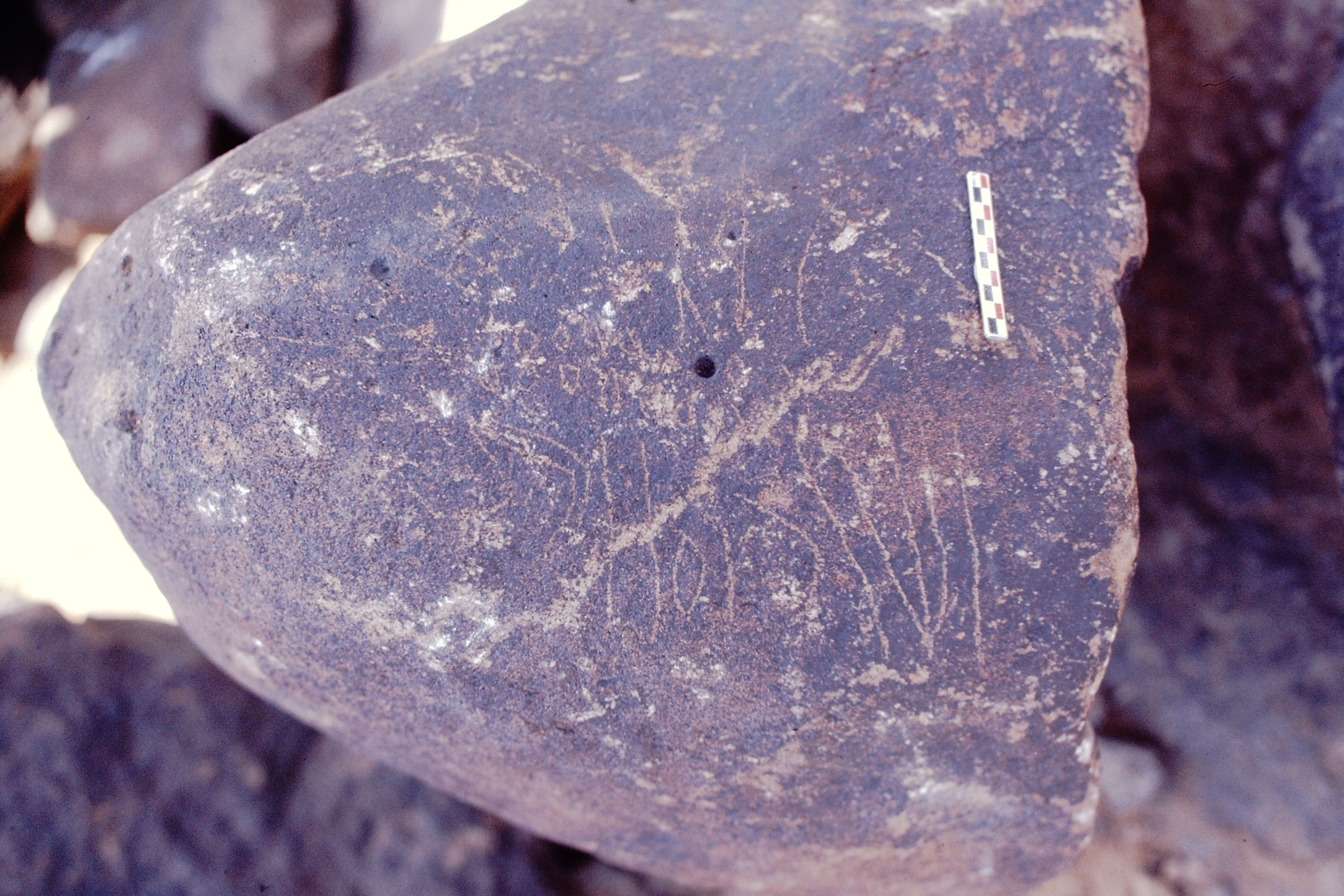 inscription of siglum Is.N 79