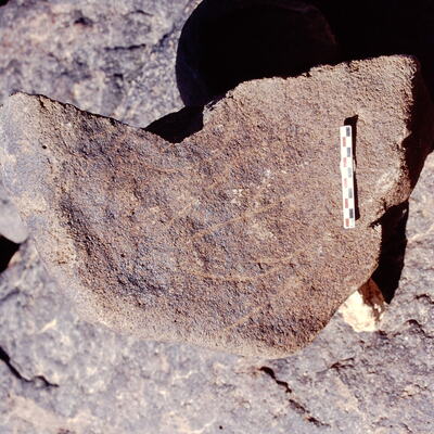 inscription of siglum Is.N 81