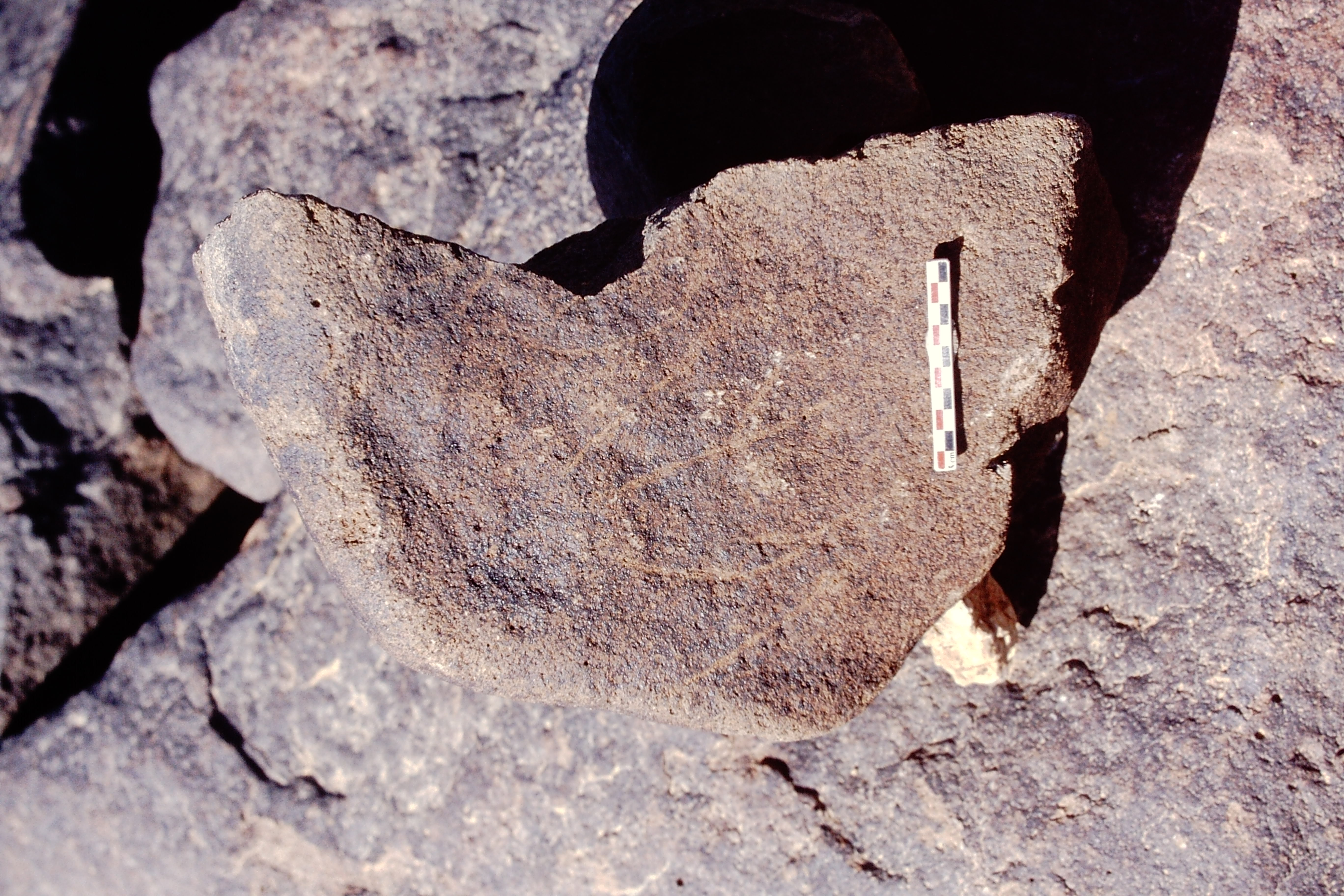 inscription of siglum Is.N 81