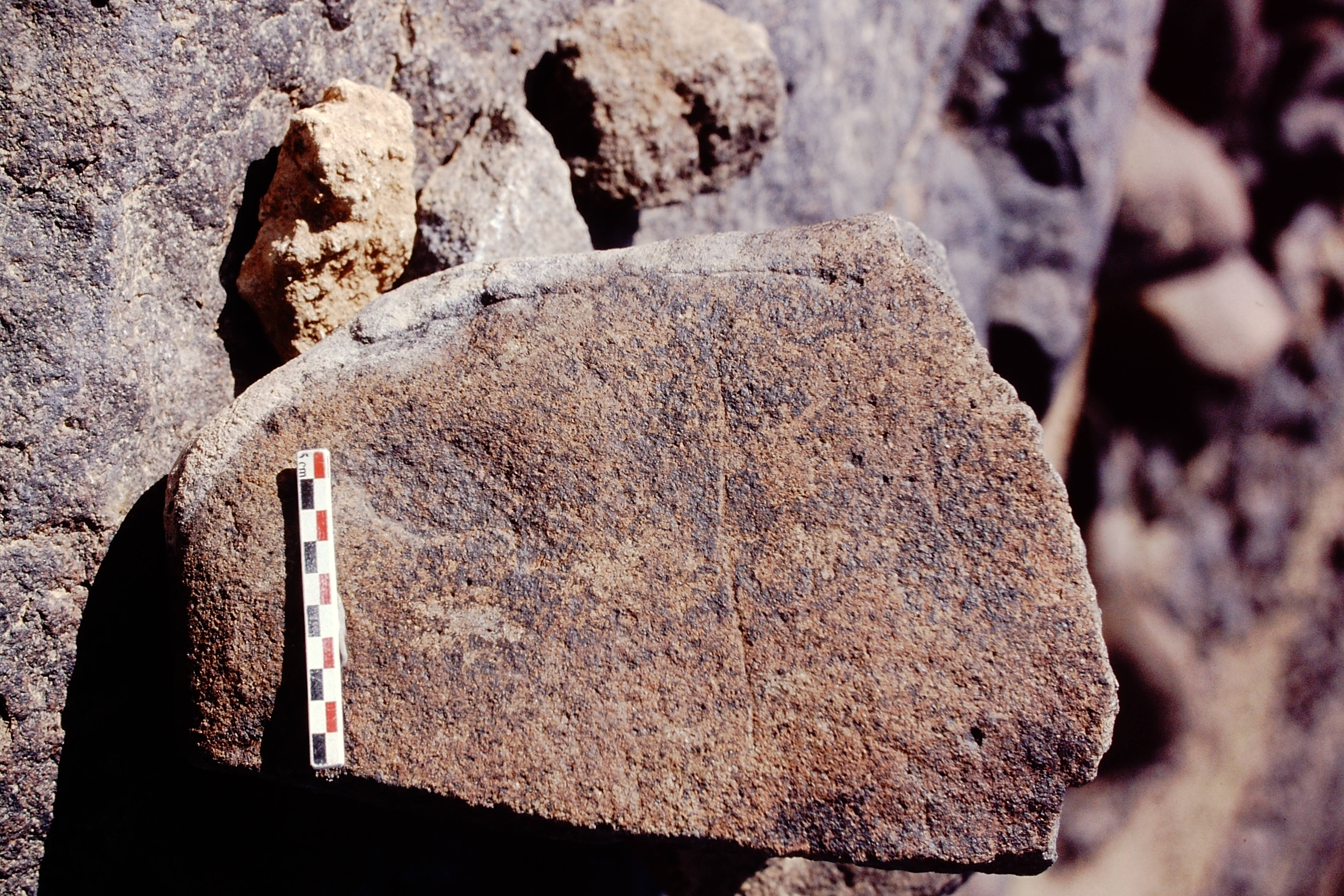 inscription of siglum Is.N 82