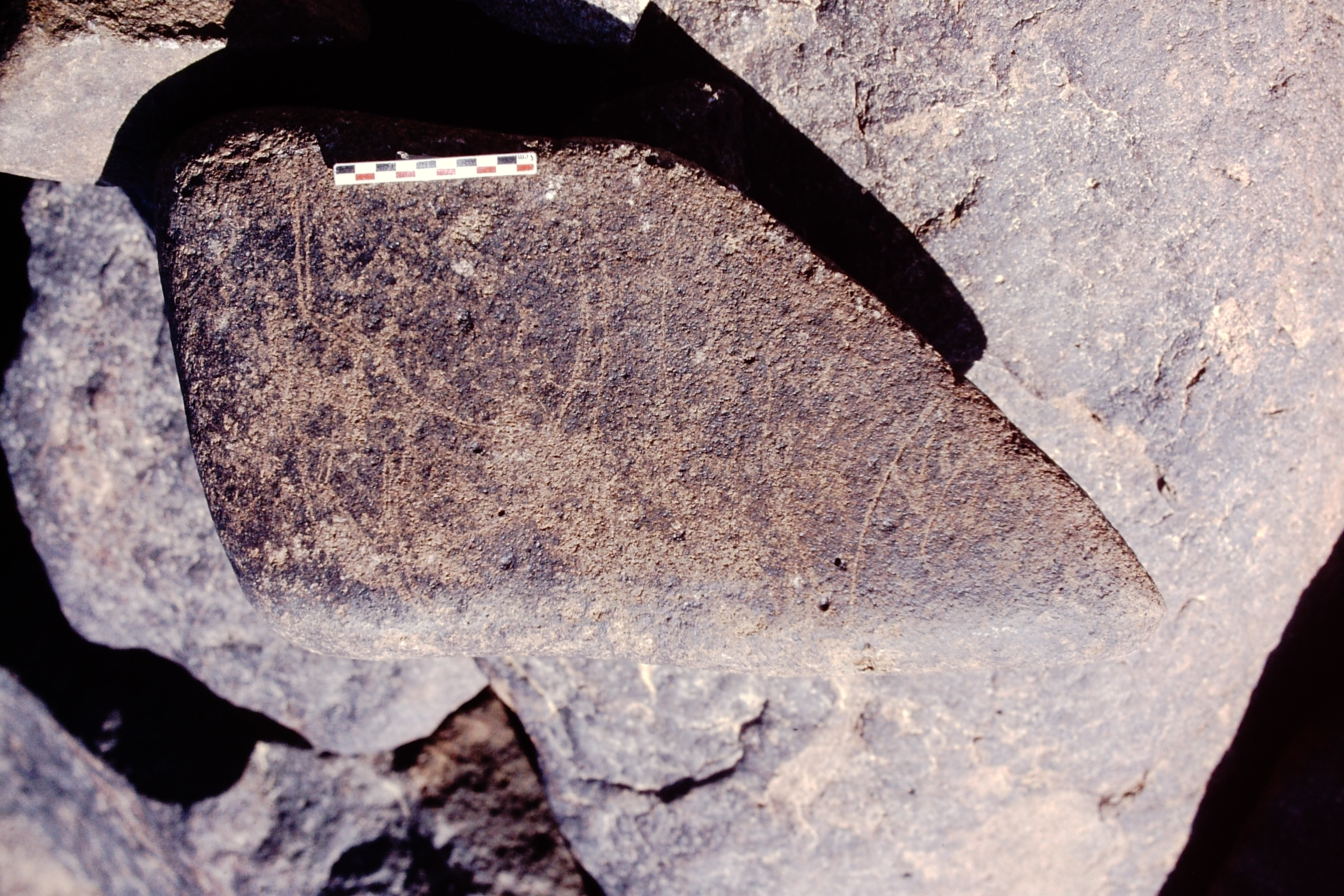inscription of siglum Is.N 83