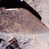 inscription of siglum Is.N 83