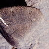 inscription of siglum Is.N 85
