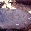 inscription of siglum Is.N 89