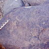inscription of siglum Is.N 89