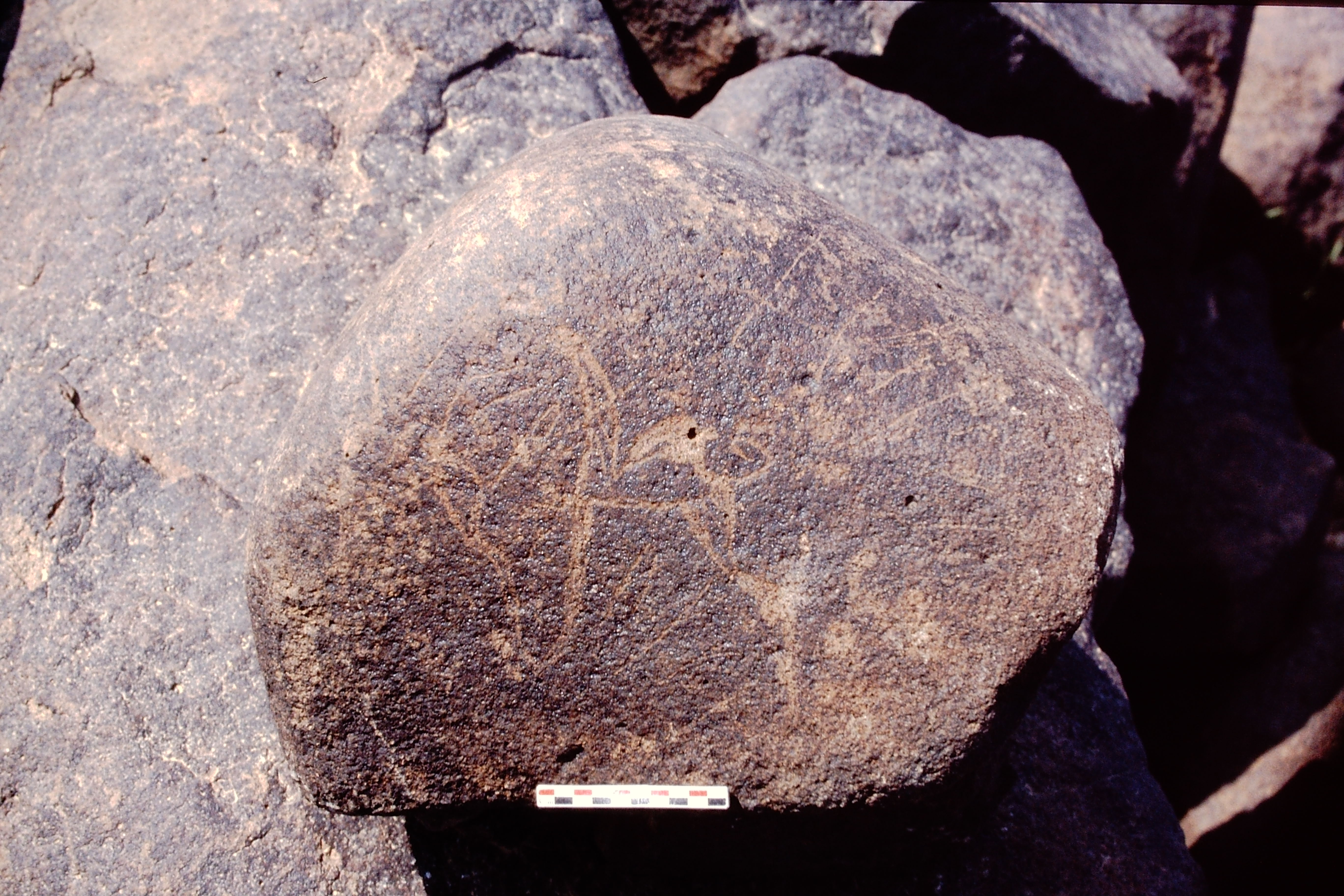 inscription of siglum Is.N 91.1