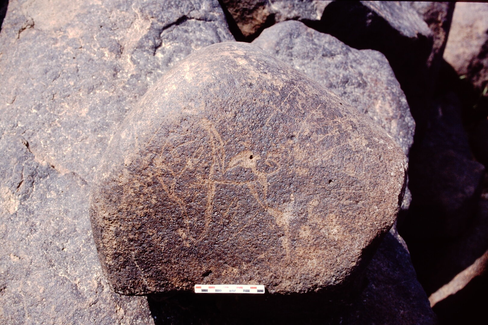 inscription of siglum Is.N 91