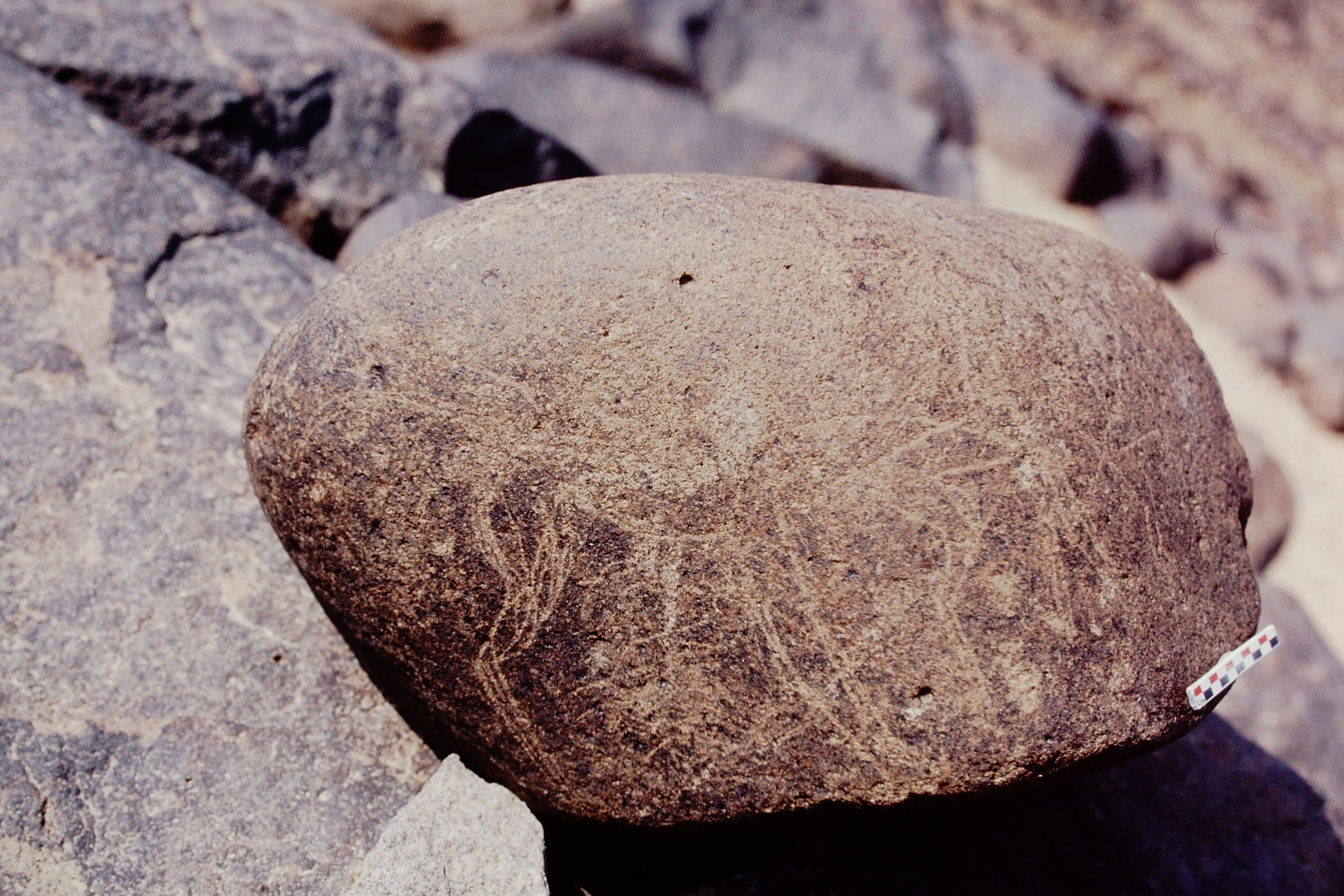 inscription of siglum Is.N 99