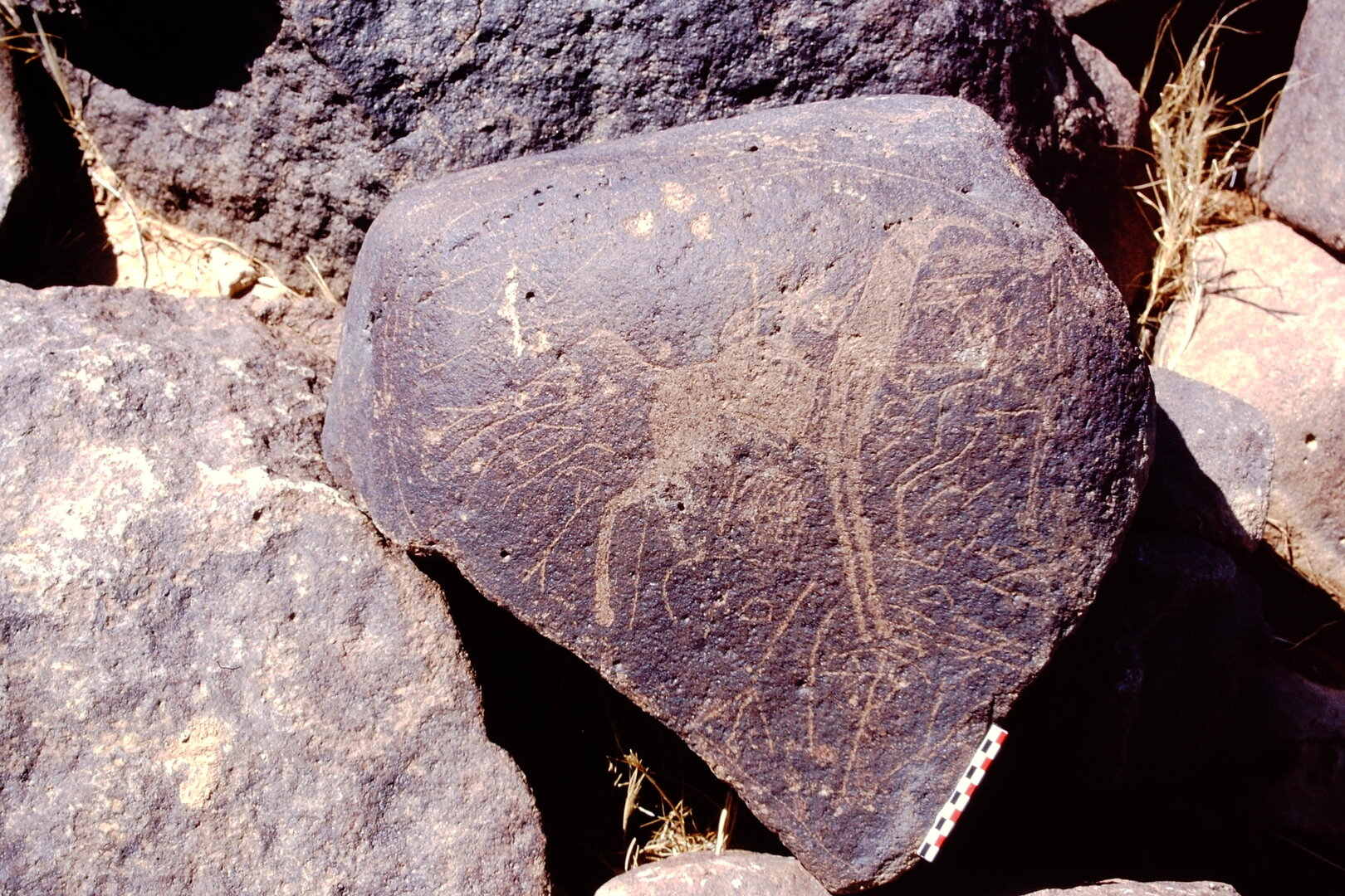 inscription of siglum Is.R 110