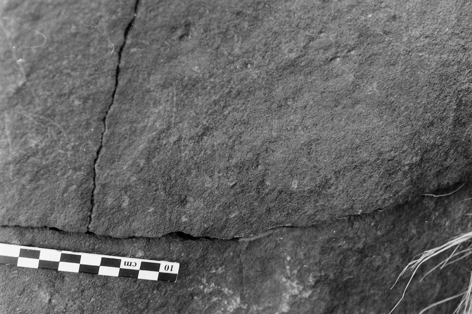 inscription of siglum Is.R 113