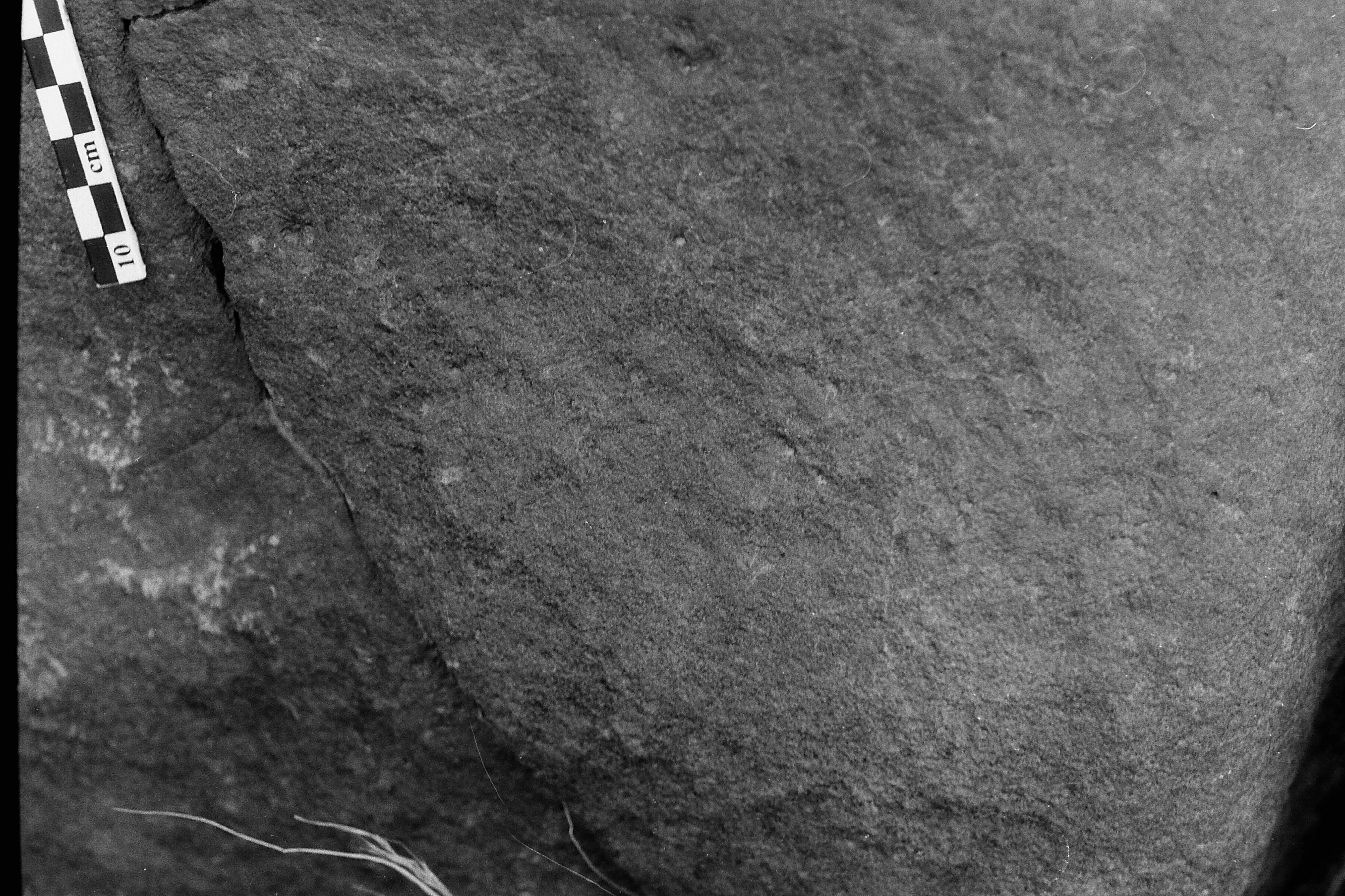inscription of siglum Is.R 113