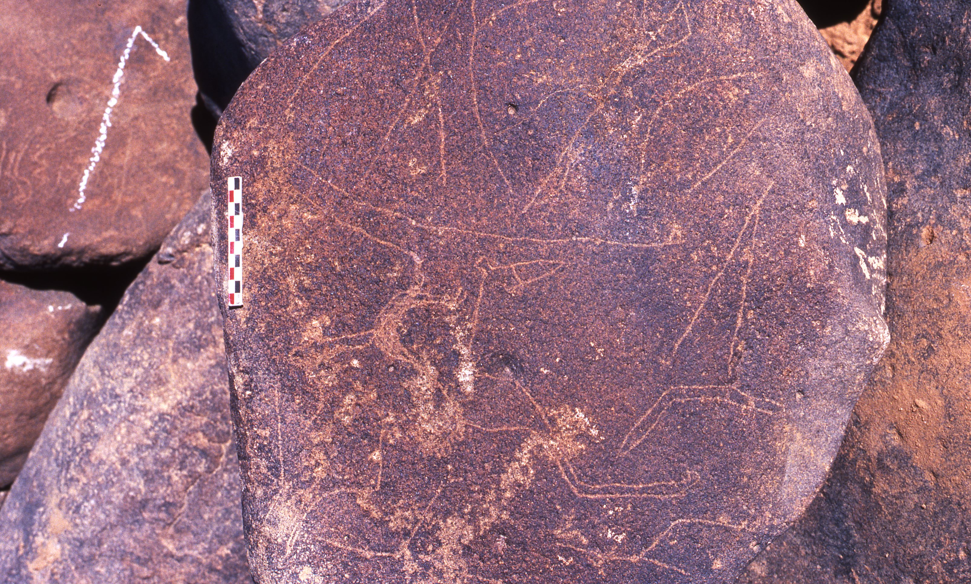 inscription of siglum Is.R 147