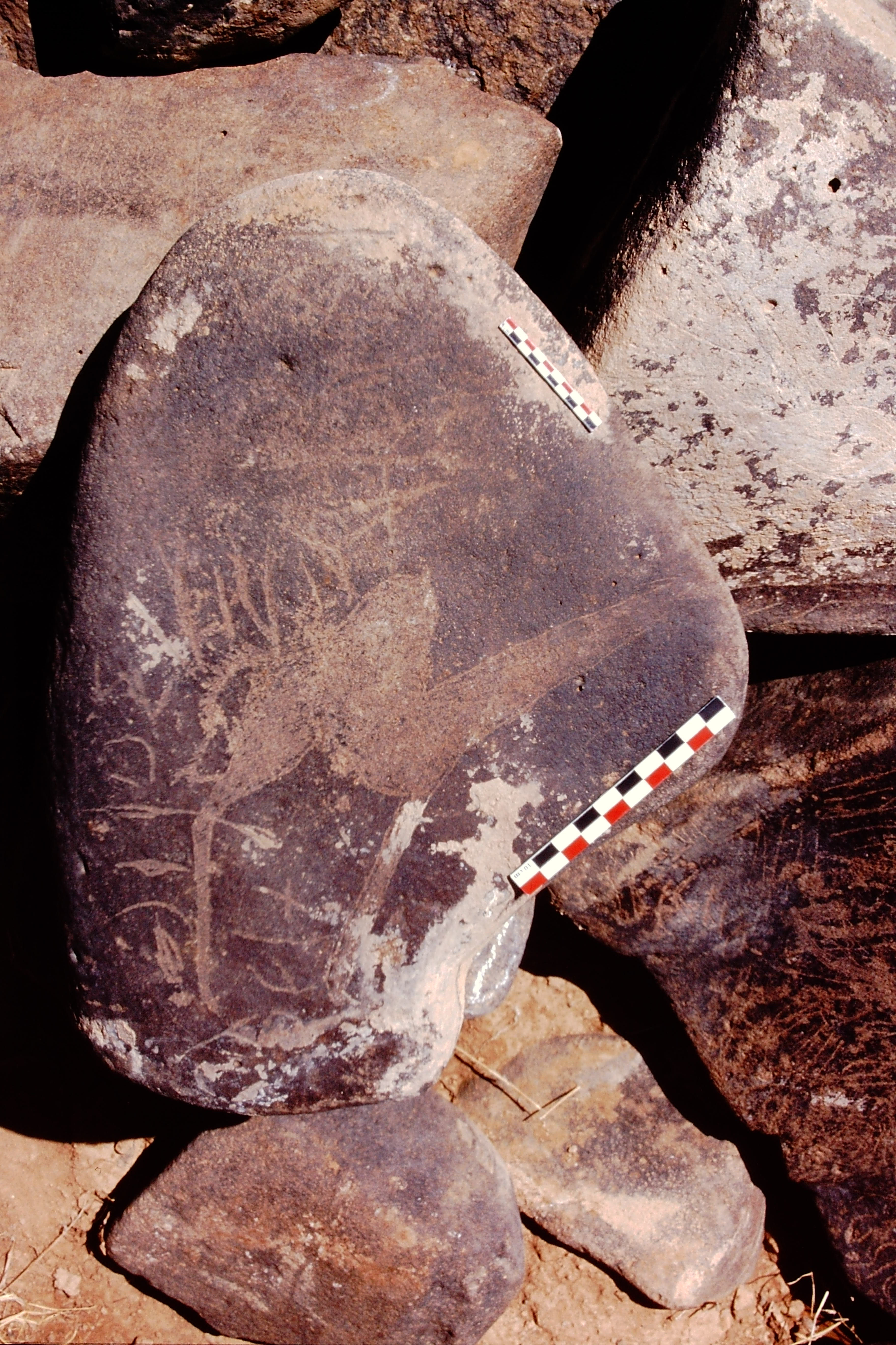 inscription of siglum Is.R 151