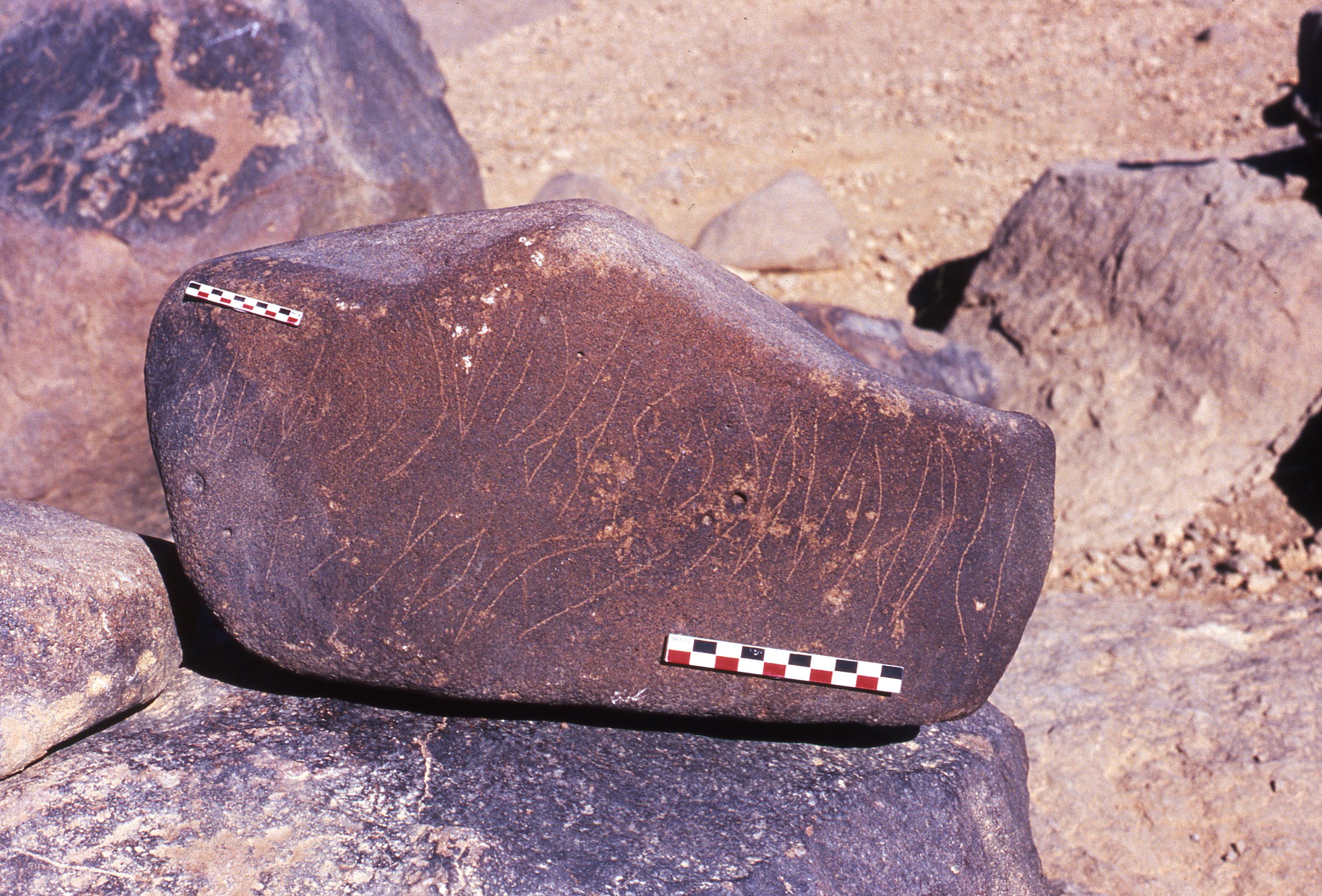 inscription of siglum Is.R 155