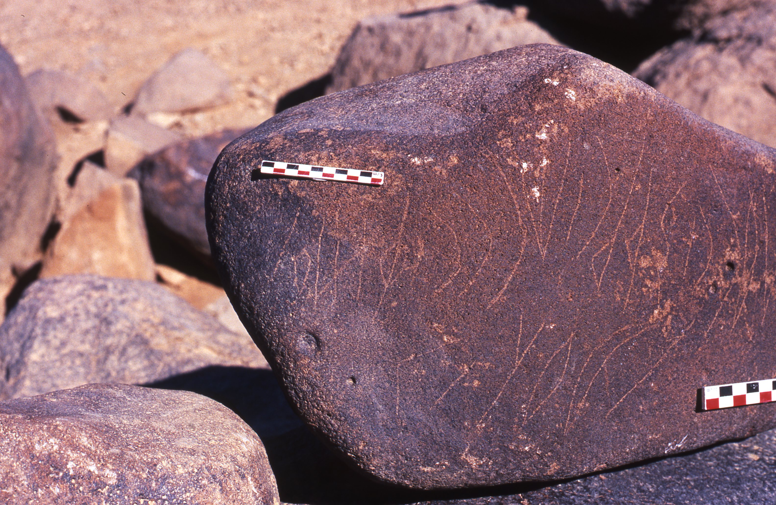 inscription of siglum Is.R 155