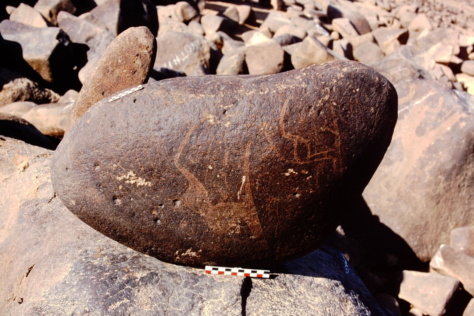 inscription of siglum Is.R 156