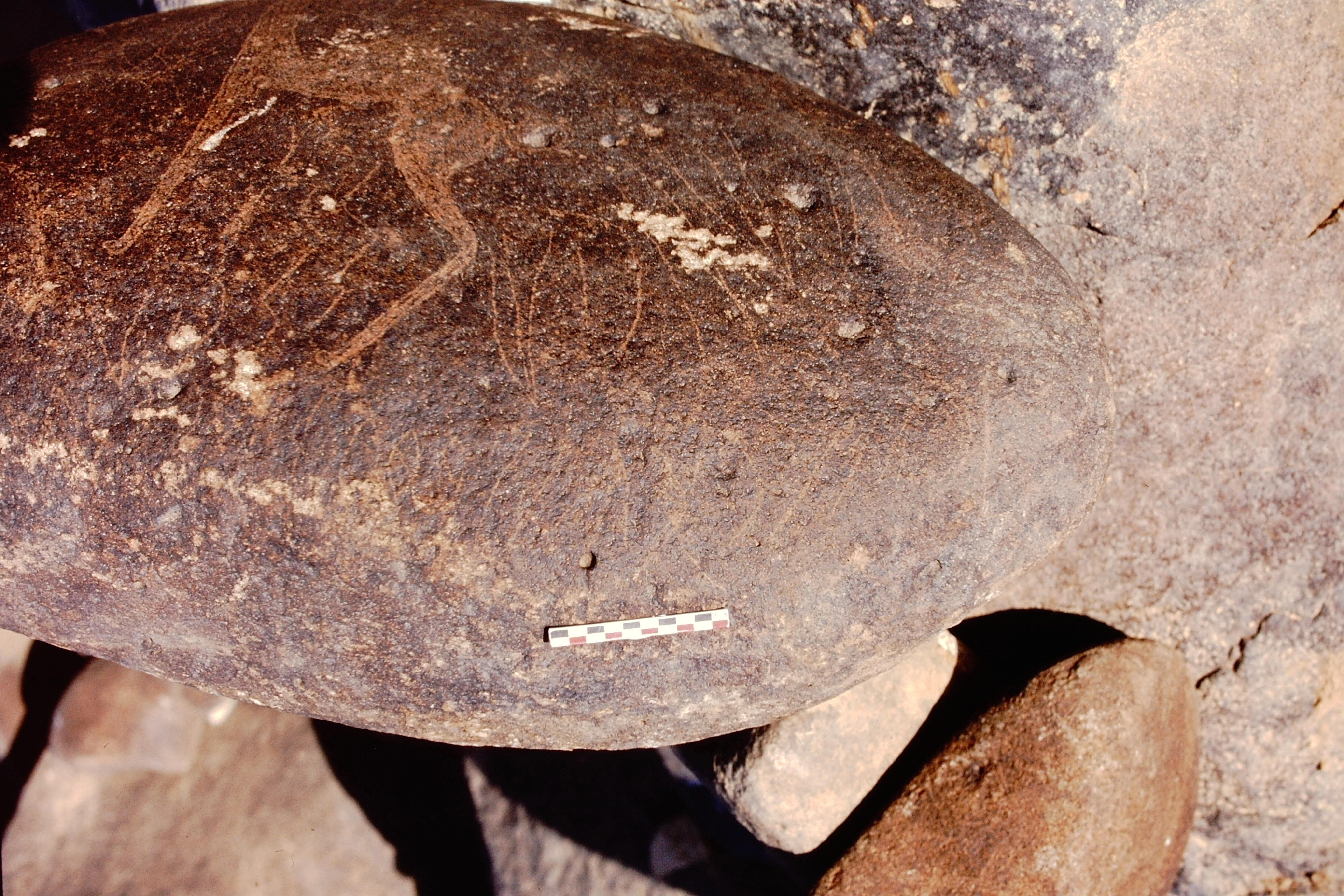 inscription of siglum Is.R 156