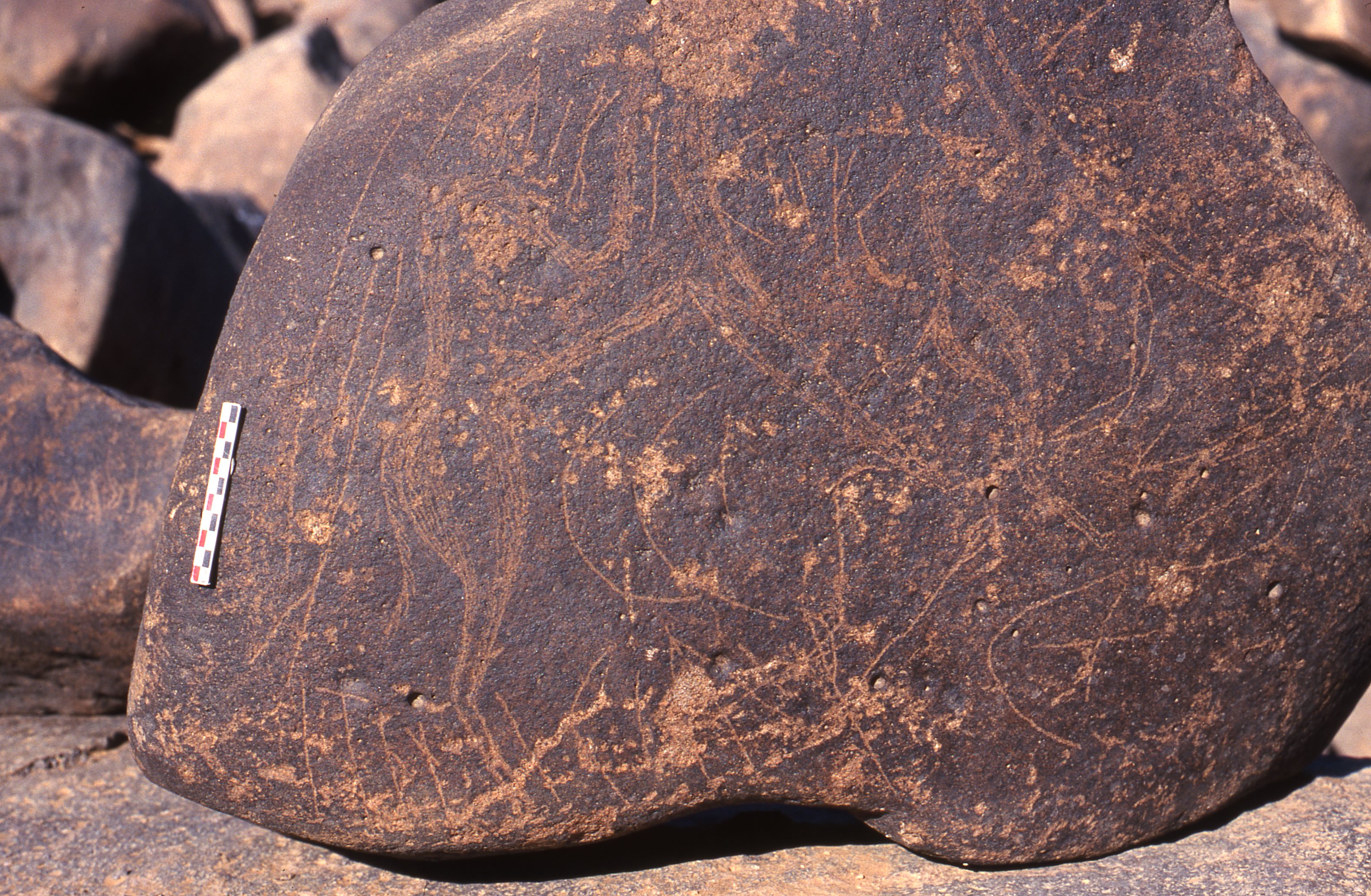 inscription of siglum Is.R 160