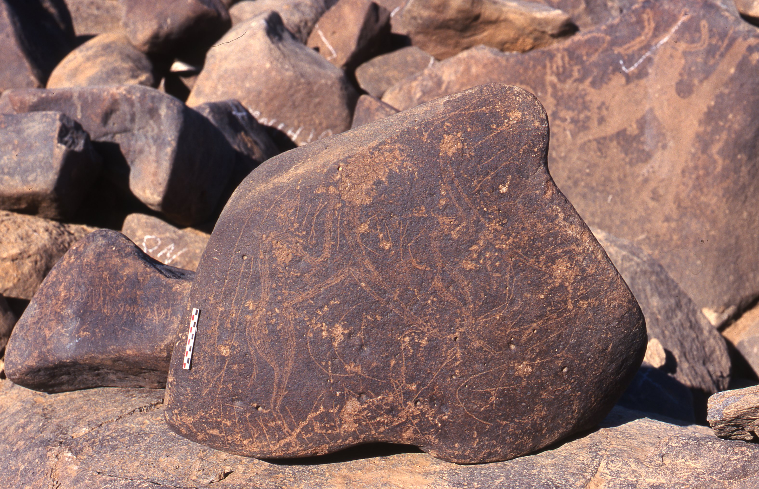 inscription of siglum Is.R 160