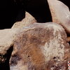 inscription of siglum Is.R 163