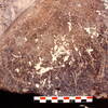 inscription of siglum Is.R 165