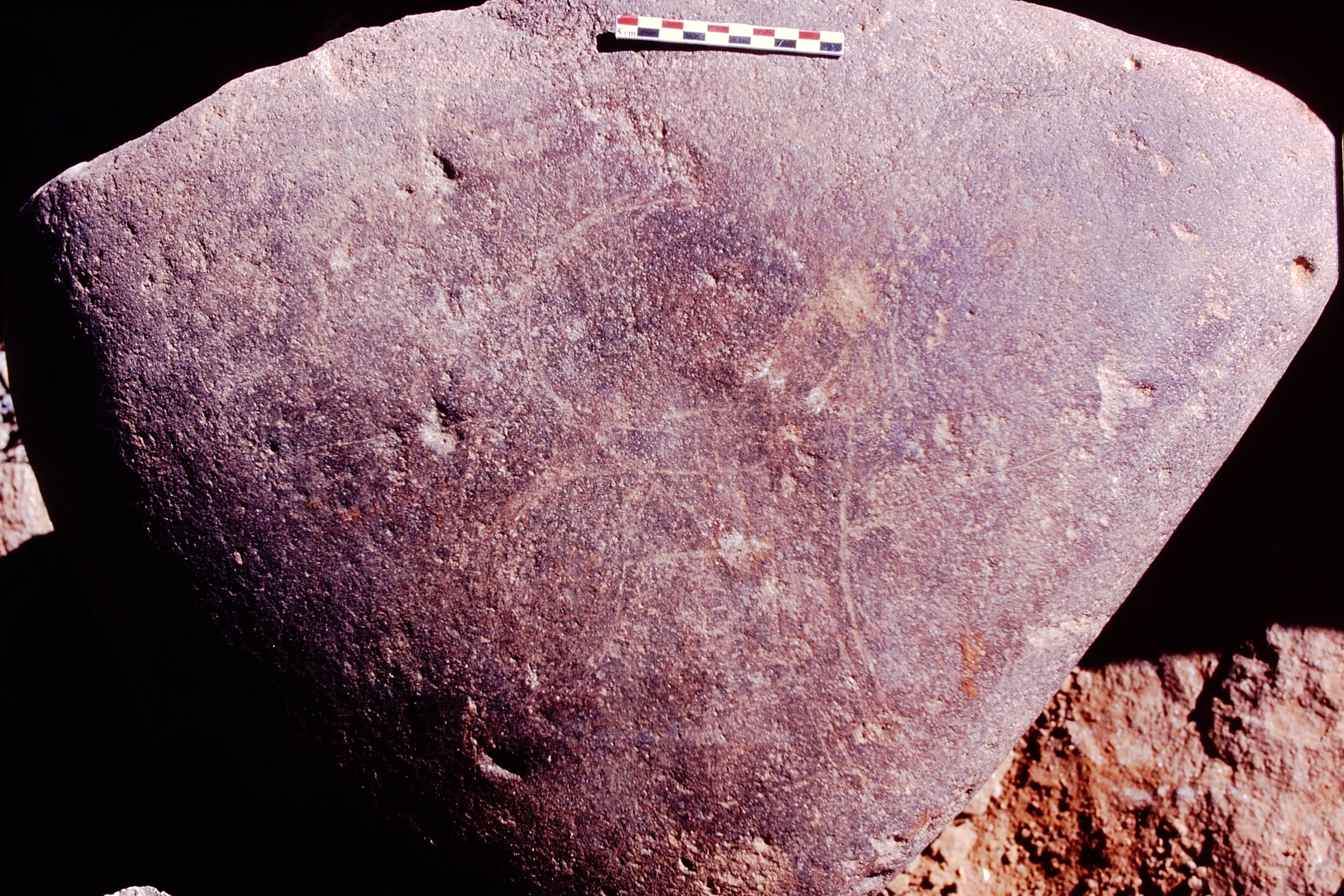 inscription of siglum Is.R 174