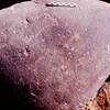 inscription of siglum Is.R 174