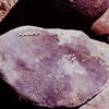inscription of siglum Is.R 175