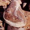 inscription of siglum Is.R 177