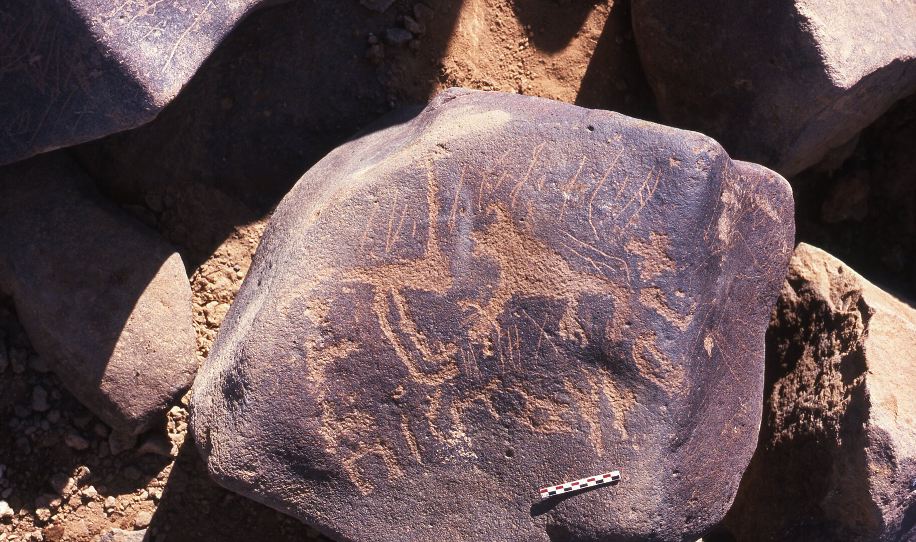 inscription of siglum Is.R 186