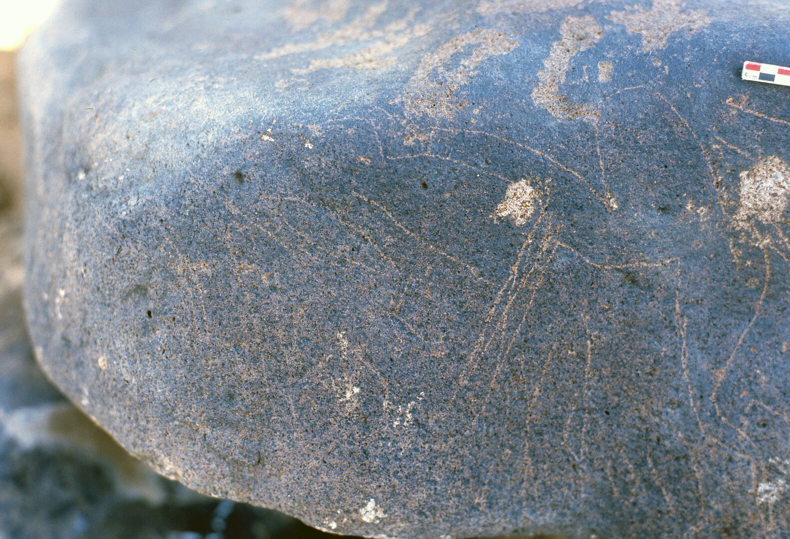 inscription of siglum Is.R 187