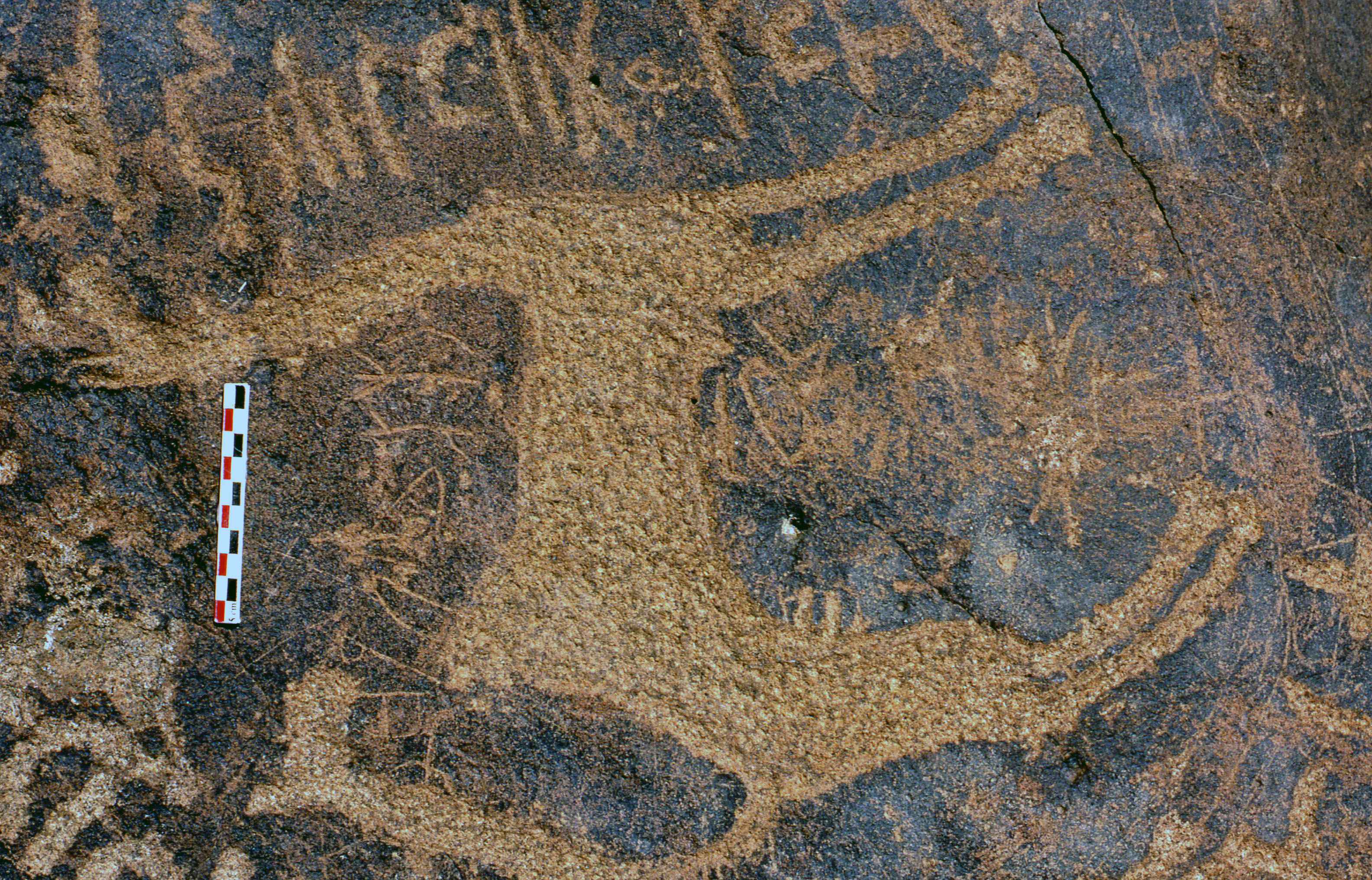 inscription of siglum Is.R 189
