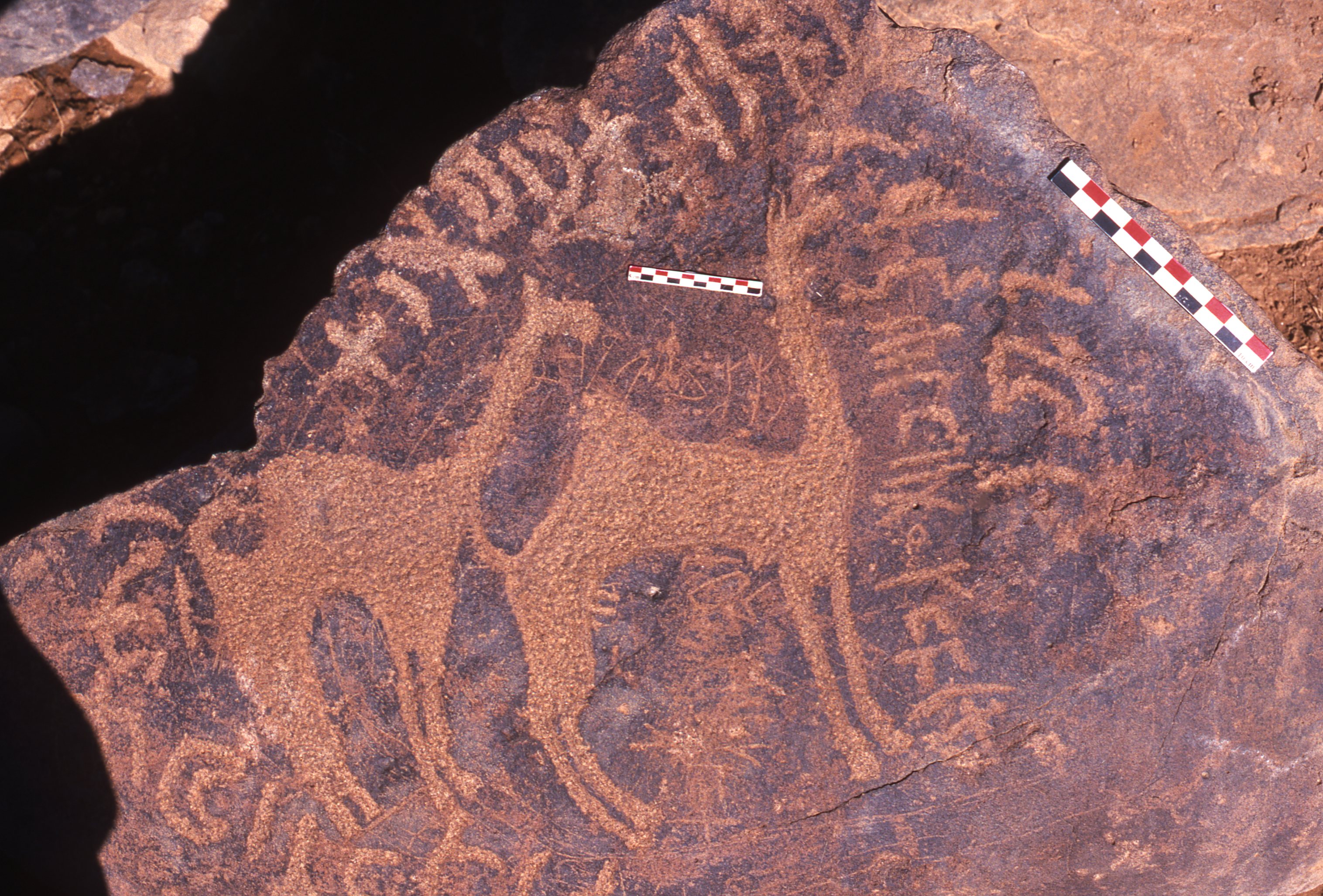 inscription of siglum Is.R 190