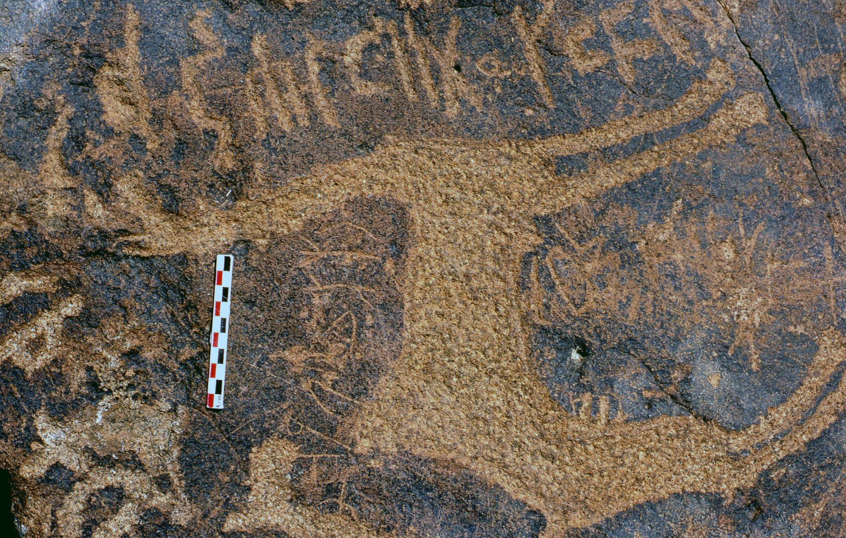 inscription of siglum Is.R 193