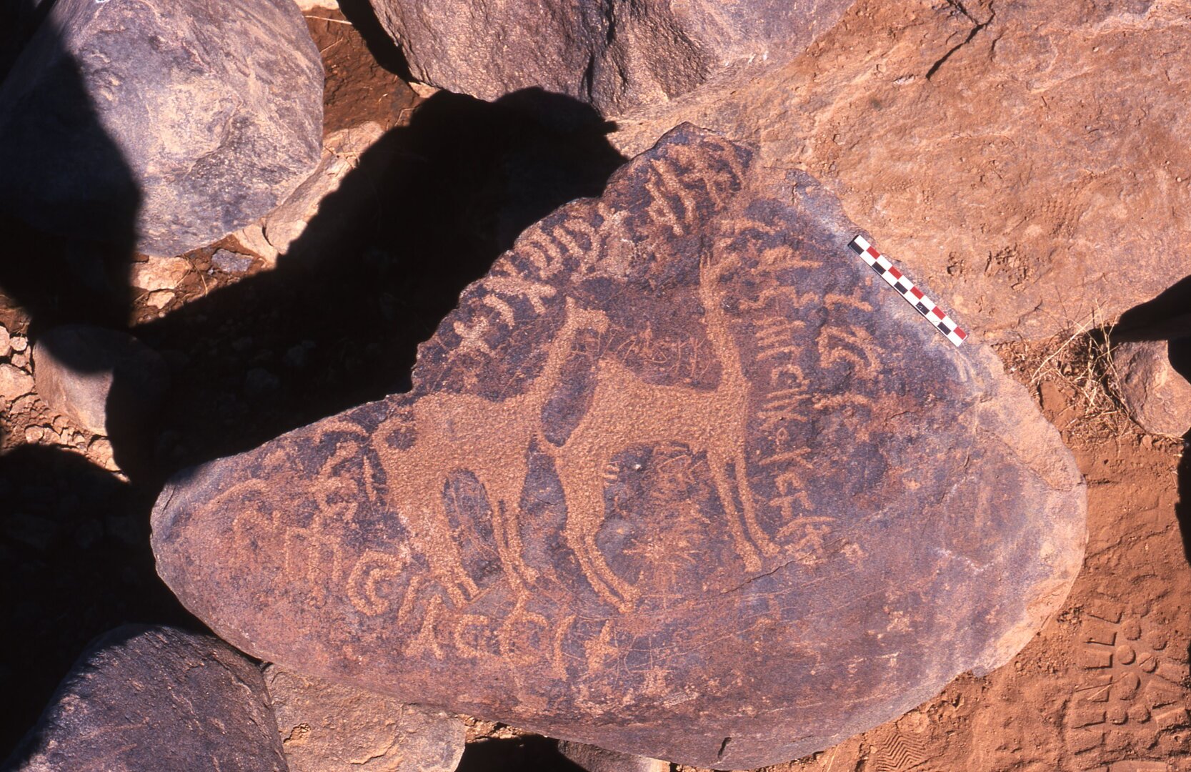 inscription of siglum Is.R 193