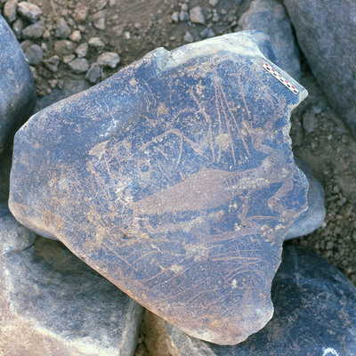 inscription of siglum Is.R 195